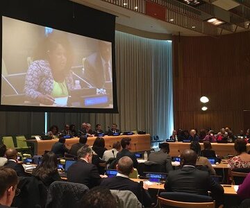 Audiencia de sociedad civil en Naciones Unidas