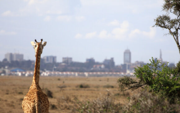 Nairobi El Grupo de Implementadores se reúne para definir una hoja de ruta estratégica a tres años