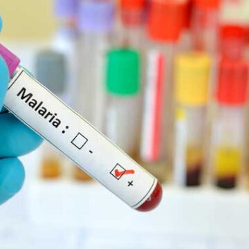Costa Rica destaca a nivel internacional por su lucha contra la malaria