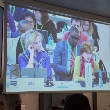 41ª Reunión de la Junta del Fondo Mundial: posicionamientos de las constituyentes