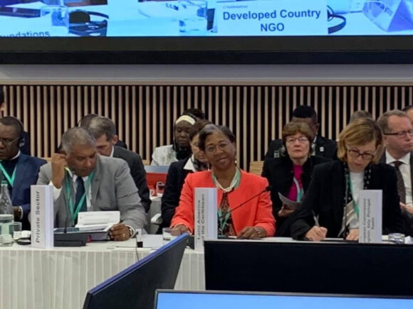 Respuesta de la Delegación LAC al informe del director ejecutivo