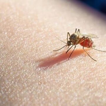 Venezuela recibirá 19.8 millones de dólares para combatir la malaria