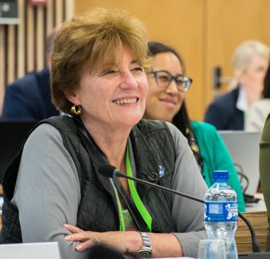 foto Mirta Mirta Roses es elegida “embajadora” para el Covid-19