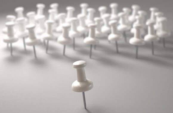 Posicionamientos de las constituyentes sobre temas clave de la 45° Reunión de la Junta