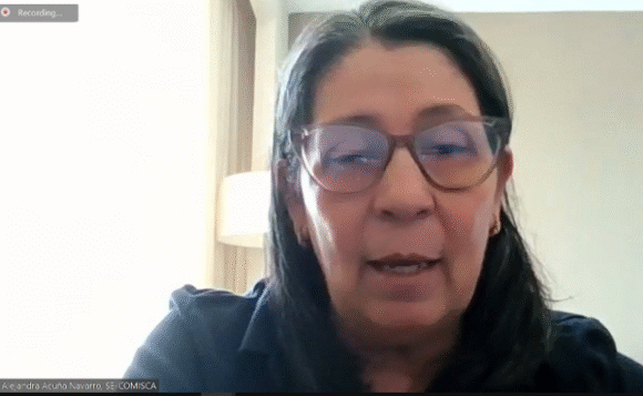 Intervenciones de Alejandra Acuña en la 47ma Reunión de la Junta del Fondo Mundial