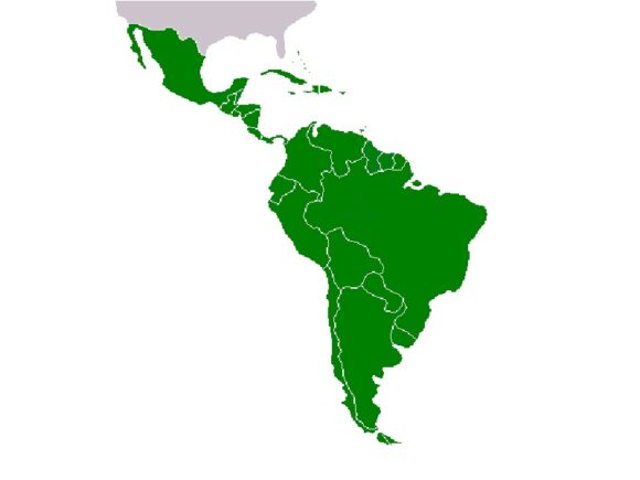 Fondo Mundial aprueba financiamiento para subvenciones multipaís