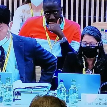 Intervenciones de la Delegación LAC en  la Junta del Fondo Mundial