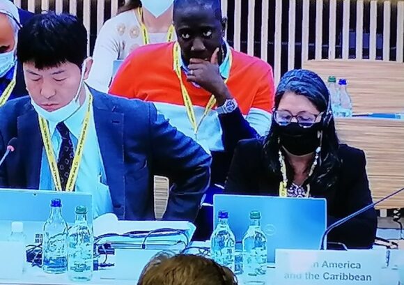 Intervenciones de la Delegación LAC en  la Junta del Fondo Mundial