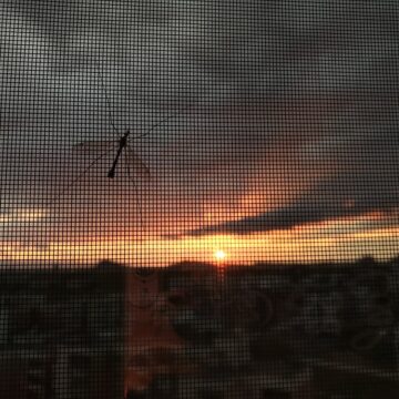Mosquiteros tratados con insecticidas duales para responder a la malaria