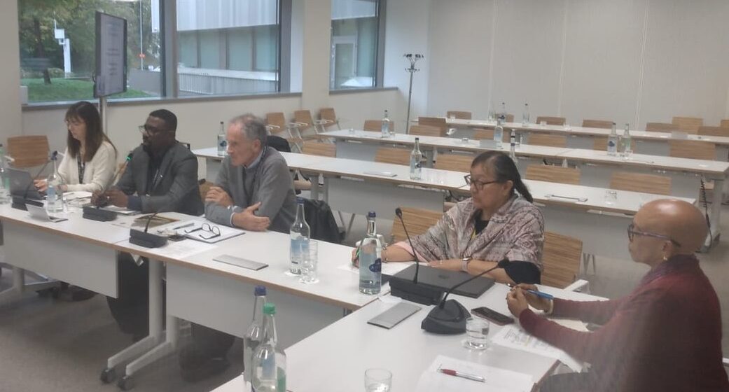 Resumen de lo que fue la Reunión de Implementadores