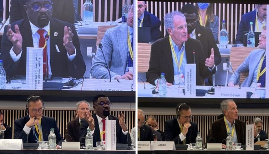 posicionamiento La posición de la Delegación LAC en la 51ra Reunión de la Junta del Fondo Mundial